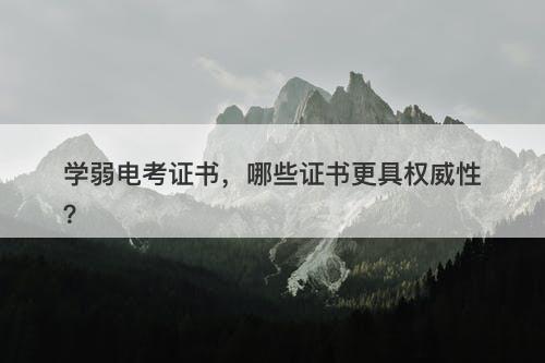 学弱电考证书，哪些证书更具权威性？