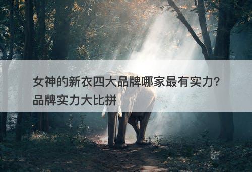 女神的新衣四大品牌哪家最有实力？品牌实力大比拼-图1