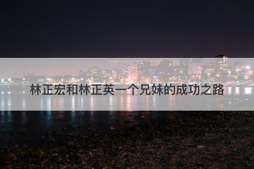 林正宏和林正英一个兄妹的成功之路