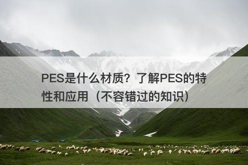 PES是什么材质？了解PES的特性和应用（不容错过的知识）