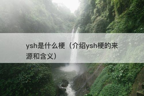 ysh是什么梗（介绍ysh梗的来源和含义）
