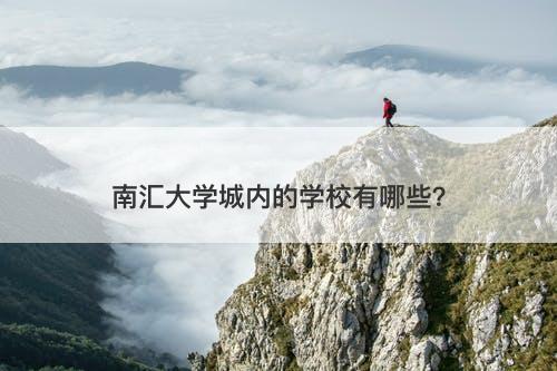 南汇大学城内的学校有哪些？