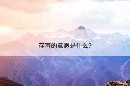 荏苒的意思是什么？