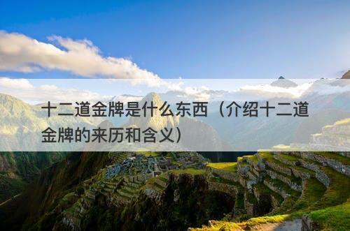 十二道金牌是什么东西（介绍十二道金牌的来历和含义）