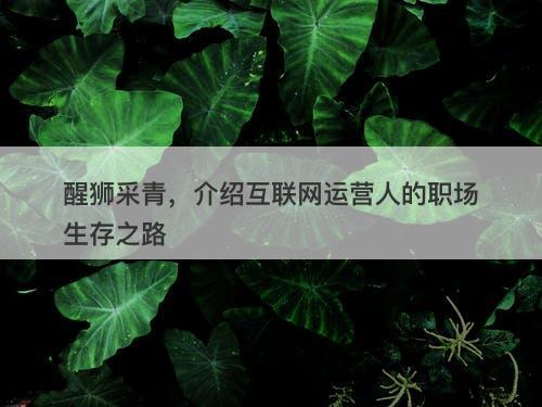 醒狮采青，介绍互联网运营人的职场生存之路
