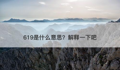619是什么意思？解释一下吧