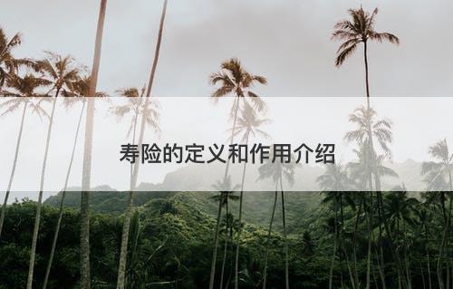 寿险的定义和作用介绍
