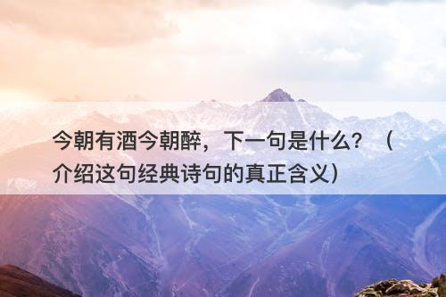今朝有酒今朝醉，下一句是什么？（介绍这句经典诗句的真正含义）