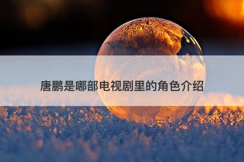 唐鹏是哪部电视剧里的角色介绍