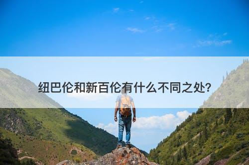 纽巴伦和新百伦有什么不同之处？