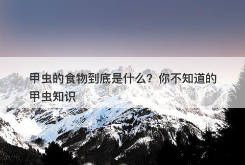 甲虫的食物到底是什么？你不知道的甲虫知识