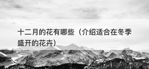 十二月的花有哪些（介绍适合在冬季盛开的花卉）