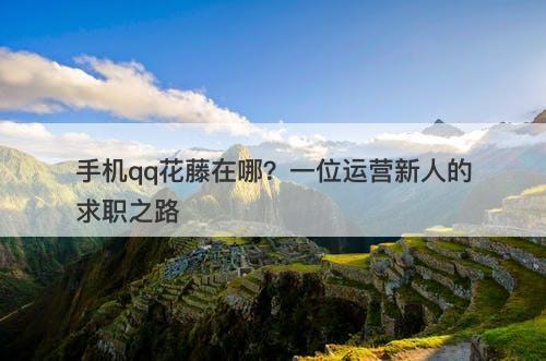 手机qq花藤在哪？一位运营新人的求职之路