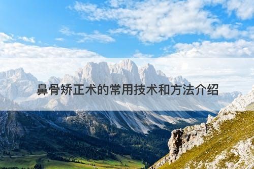 鼻骨矫正术的常用技术和方法介绍