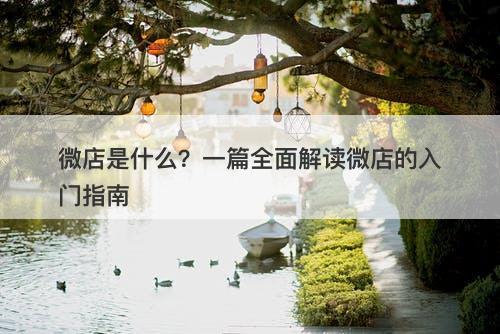 微店是什么？一篇全面解读微店的入门指南