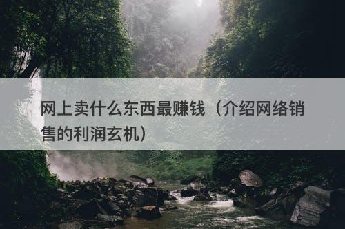 网上卖什么东西最赚钱（介绍网络销售的利润玄机）