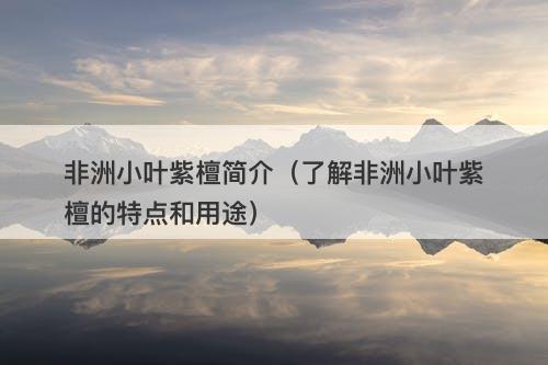 非洲小叶紫檀简介（了解非洲小叶紫檀的特点和用途）