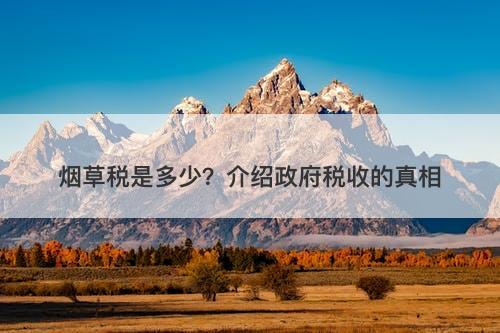 烟草税是多少？介绍政府税收的真相