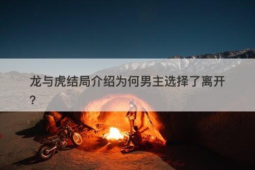 龙与虎结局介绍为何男主选择了离开？