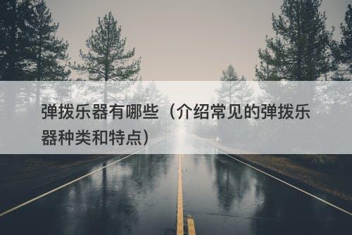 弹拨乐器有哪些（介绍常见的弹拨乐器种类和特点）