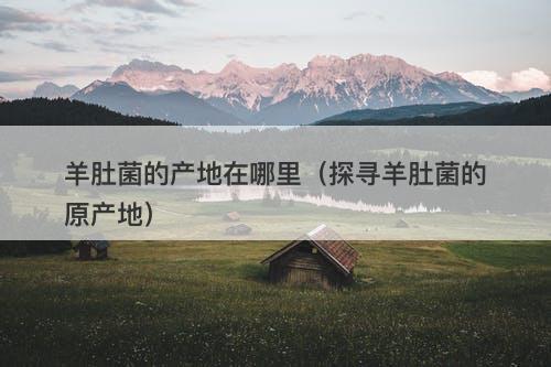 羊肚菌的产地在哪里（探寻羊肚菌的原产地）