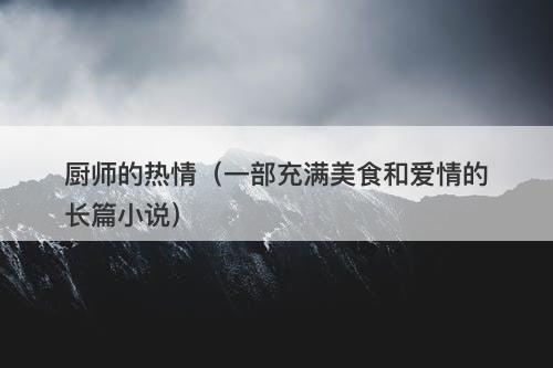 厨师的热情（一部充满美食和爱情的长篇小说）