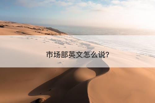 市场部英文怎么说？