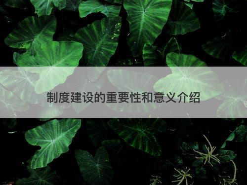 制度建设的重要性和意义介绍