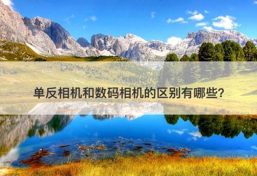 单反相机和数码相机的区别有哪些？