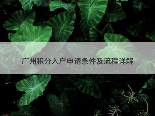 广州积分入户申请条件及流程详解
