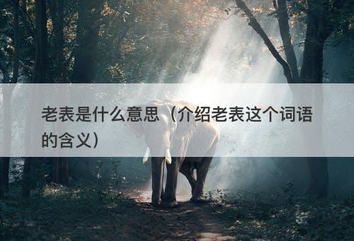 老表是什么意思（介绍老表这个词语的含义）