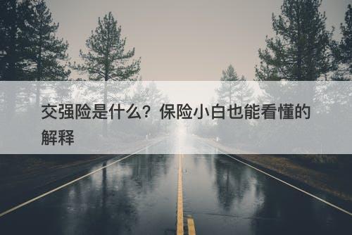 交强险是什么？保险小白也能看懂的解释