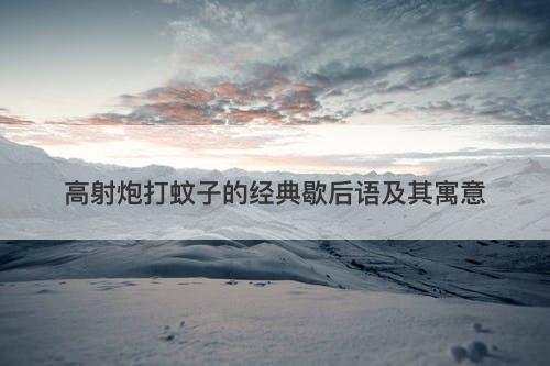高射炮打蚊子的经典歇后语及其寓意