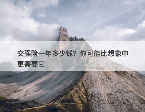 交强险一年多少钱？你可能比想象中更需要它