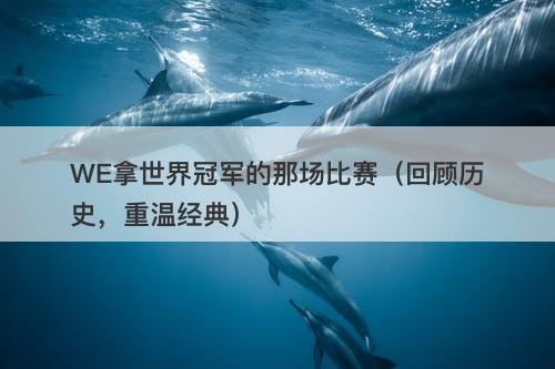 WE拿世界冠军的那场比赛（回顾历史，重温经典）