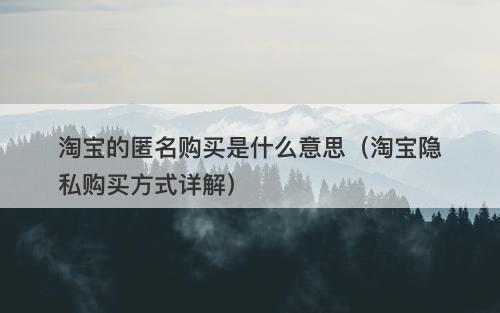 淘宝的匿名购买是什么意思（淘宝隐私购买方式详解）