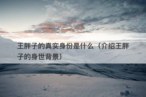 王胖子的真实身份是什么（介绍王胖子的身世背景）