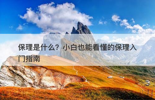 保理是什么？小白也能看懂的保理入门指南