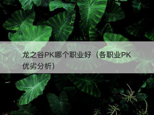 龙之谷PK哪个职业好（各职业PK优劣分析）
