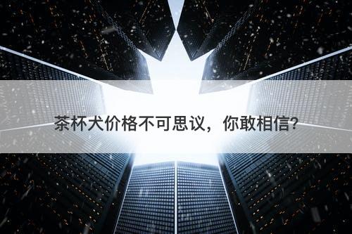 茶杯犬价格不可思议，你敢相信？