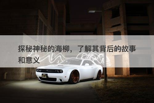 探秘神秘的海柳，了解其背后的故事和意义