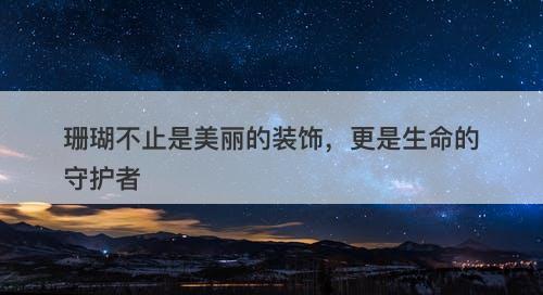 珊瑚不止是美丽的装饰，更是生命的守护者