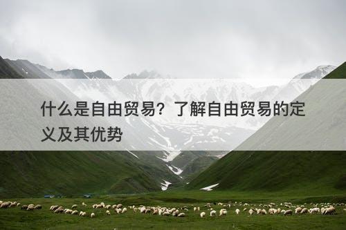 什么是自由贸易？了解自由贸易的定义及其优势