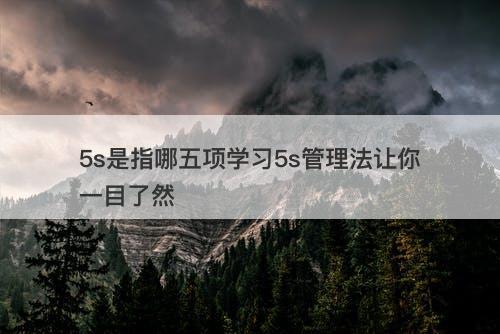 5s是指哪五项学习5s管理法让你一目了然
