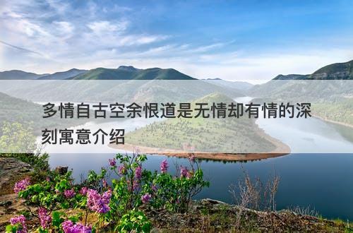 多情自古空余恨道是无情却有情的深刻寓意介绍