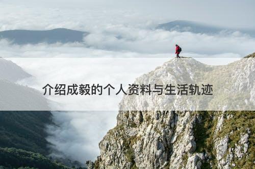 介绍成毅的个人资料与生活轨迹