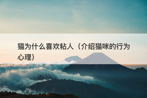 猫为什么喜欢粘人（介绍猫咪的行为心理）