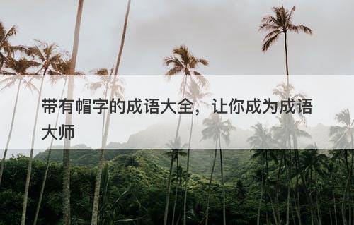 带有帽字的成语大全，让你成为成语大师