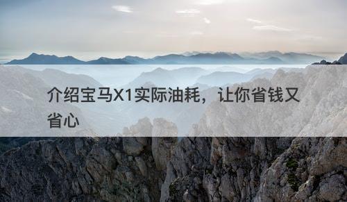 介绍宝马X1实际油耗，让你省钱又省心