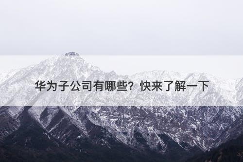 华为子公司有哪些？快来了解一下